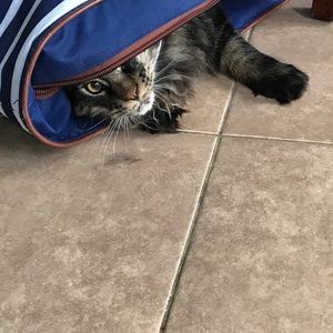 Meet your Posher, Christopher